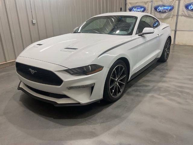2019 Ford Mustang - $19,975