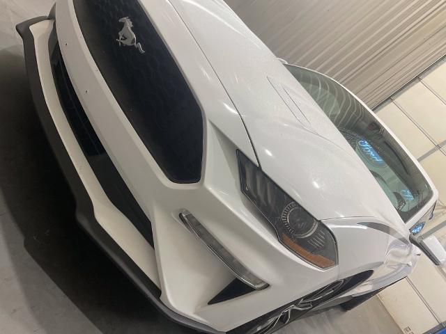 2019 Ford Mustang - $19,975