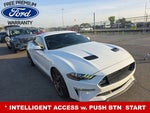 2019 Mustang Thumbnail 1