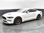 2019 Mustang Thumbnail 3