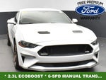 2019 Mustang Thumbnail 4