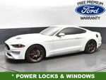 2019 Mustang Thumbnail 6