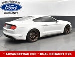 2019 Mustang Thumbnail 9