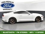 2019 Mustang Thumbnail 10