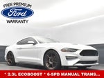 2019 Mustang Thumbnail 20