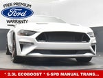 2019 Mustang Thumbnail 21