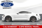 2019 Mustang Thumbnail 24