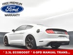 2019 Mustang Thumbnail 25
