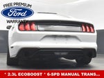 2019 Mustang Thumbnail 26