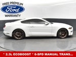 2019 Mustang Thumbnail 27