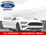 2019 Mustang Thumbnail 28