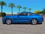 2019 Mustang Thumbnail 2