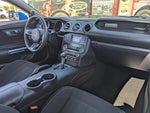 2019 Mustang Thumbnail 12