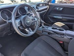 2019 Mustang Thumbnail 14