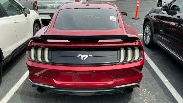 2019 Ford Mustang EcoBoost