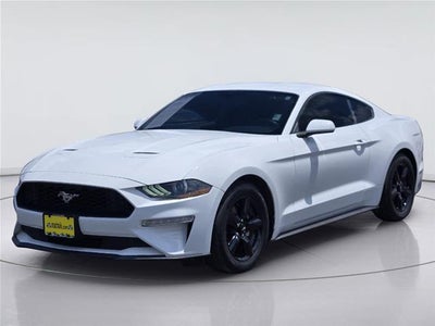 Photo of a 2019 Ford Mustang Ecoboost 2DR Fastback for sale