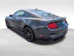 2020 Mustang Thumbnail 8