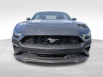 2020 Mustang Thumbnail 11