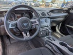 2020 Mustang Thumbnail 17