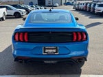 2021 Mustang Thumbnail 25