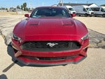2021 Mustang Thumbnail 3