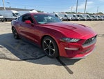 2021 Mustang Thumbnail 4