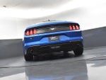 2021 Mustang Thumbnail 17