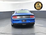 2021 Mustang Thumbnail 5