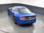 2021 Mustang Thumbnail 10