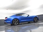 2021 Mustang Thumbnail 15