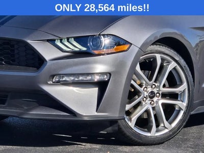 2022 Ford Mustang Ecoboost Premium 2DR Fastback