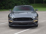 2023 Mustang Thumbnail 17