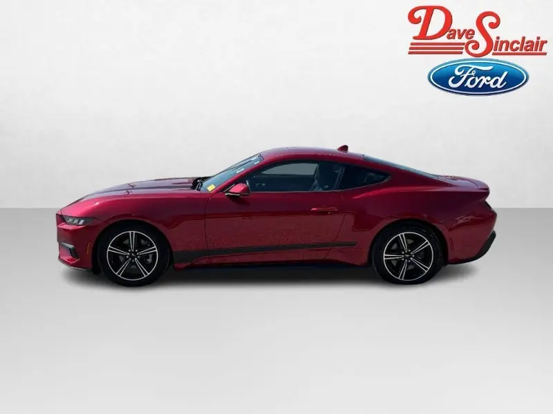2024 Ford Mustang - $33,995