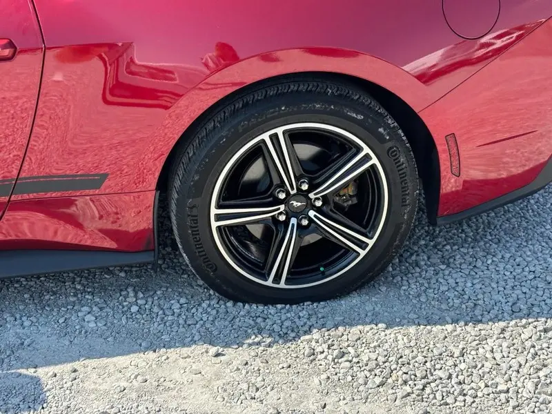 2024 Ford Mustang - $33,995
