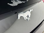 2024 Mustang Thumbnail 6