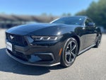 2024 Mustang Thumbnail 1