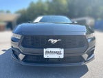 2024 Mustang Thumbnail 3