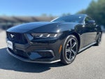 2024 Mustang Thumbnail 4