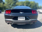 2024 Mustang Thumbnail 7