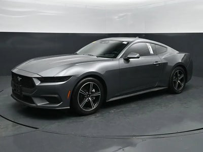Photo of a 2025 Ford Mustang Ecoboost 2DR Fastback for sale