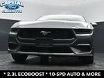 2025 Mustang Thumbnail 18
