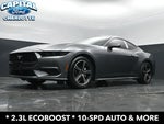 2025 Mustang Thumbnail 19