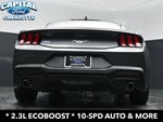 2025 Mustang Thumbnail 22