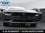 2025 Mustang Thumbnail 35