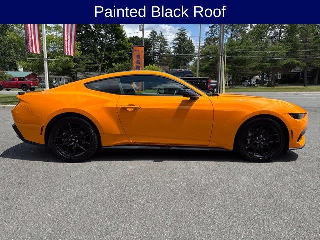 2026 Ford Mustang - $31,250