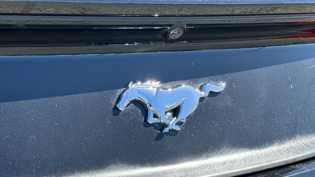 2015 Ford Mustang EcoBoost