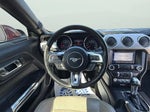 2017 Mustang Thumbnail 13