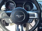 2017 Mustang Thumbnail 15