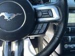 2017 Mustang Thumbnail 16