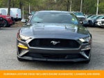 2018 Mustang Thumbnail 2